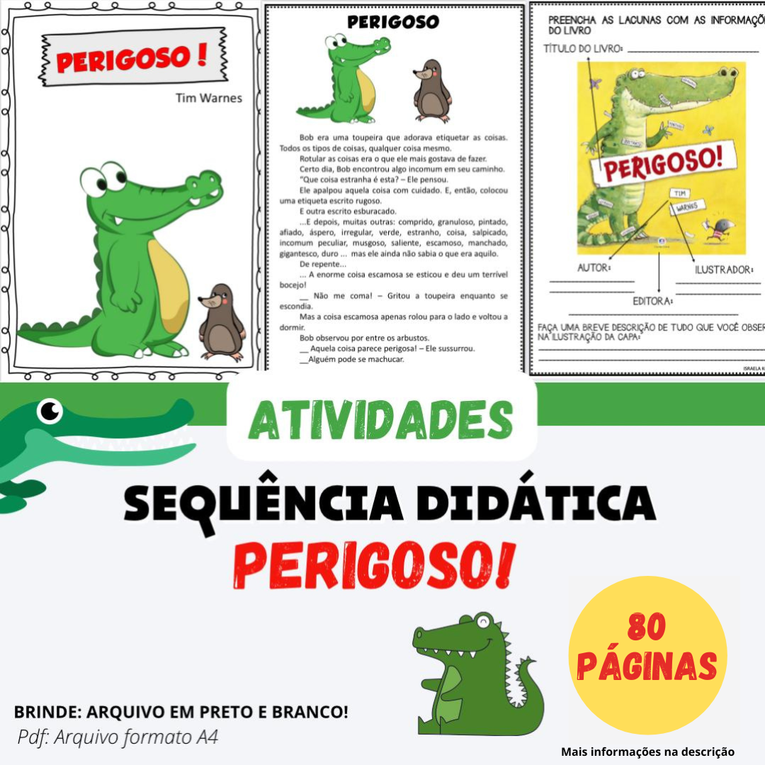 Sequência Didática - Perigoso!